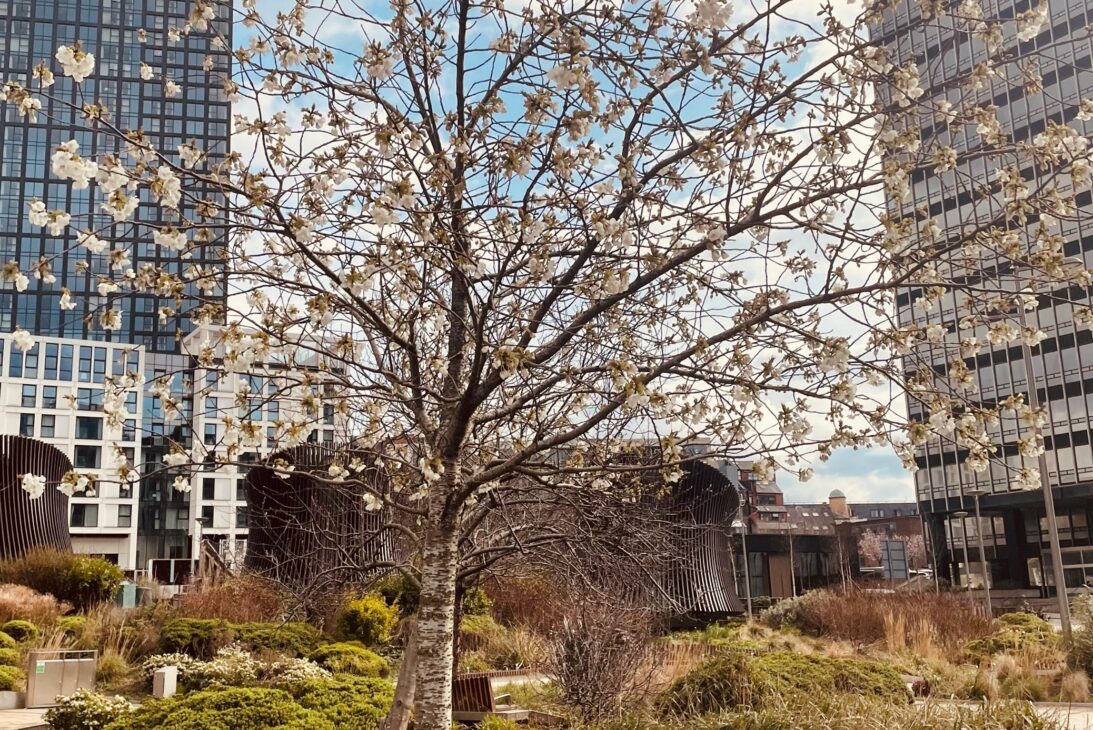 Angel Square