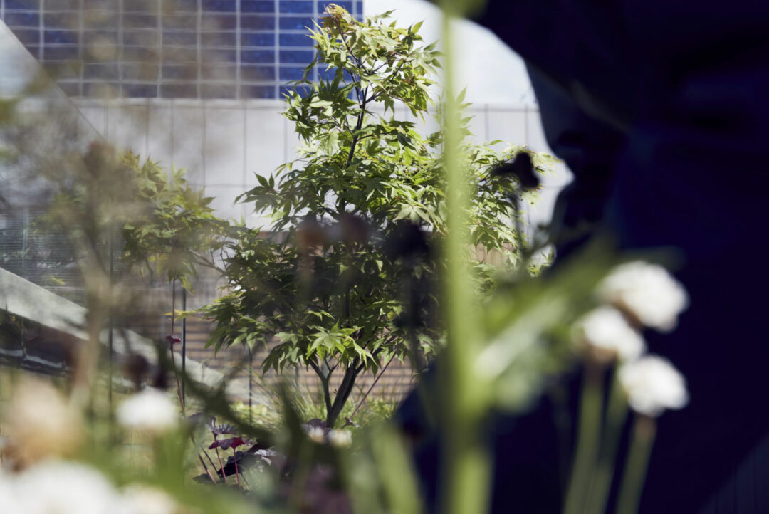 Ministry of Justice Weekly Gardening Programme