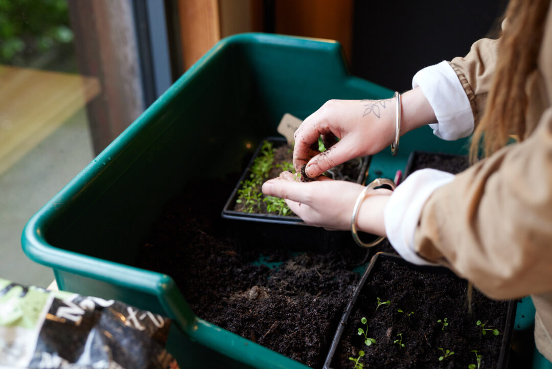 Grow With It Campaign