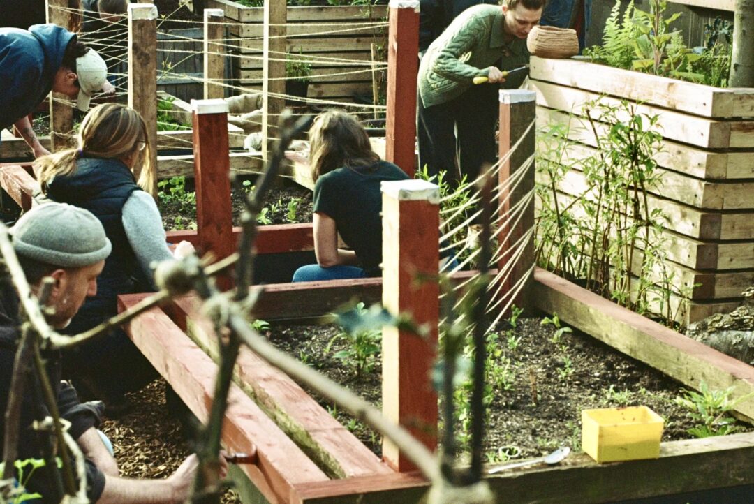 From Car park to Community Garden