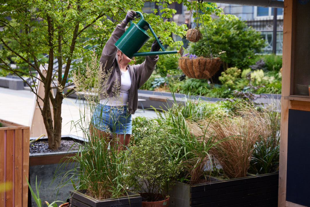 Wildlife Gardening Sessions