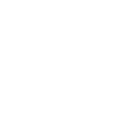 Wholesome Junkieslogo