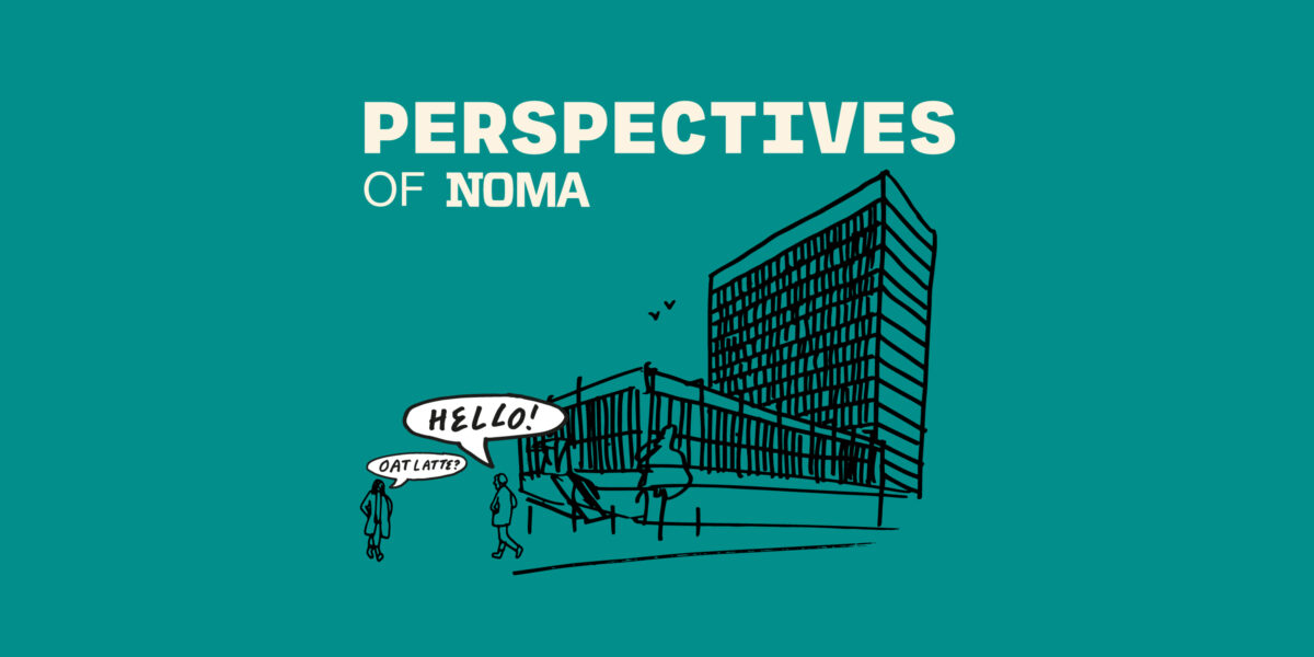 Perspectives of NOMA